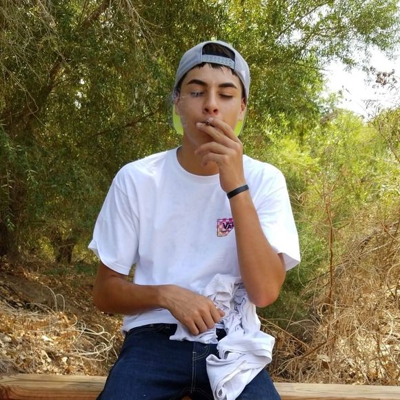 Meet your Posher, Sebastian - Picture 1 of 1